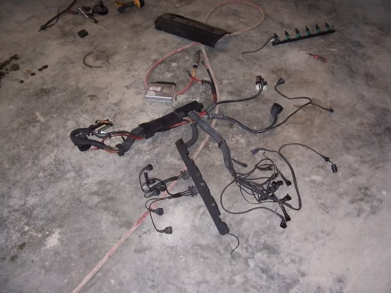 LSx E36 Wiring - Page 8